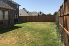 Frisco-TX.-backyard-makeover-pool-Before-picture